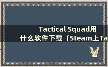 Tactical Squad用什么软件下载（Steam上Tactical Squad叫什么）